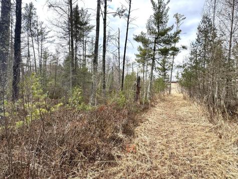 24996 Horseshoe Road Akeley MN 56433