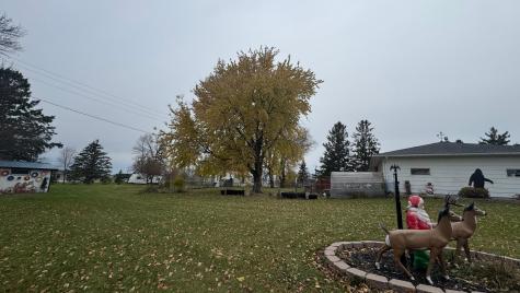 788 4th Street Audubon MN 56511