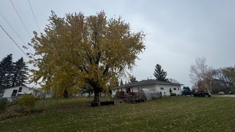 788 4th Street Audubon MN 56511