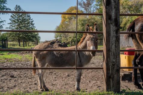 5445 157th Street S Glyndon MN 56547