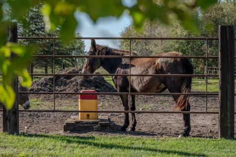 5445 157th Street S Glyndon MN 56547