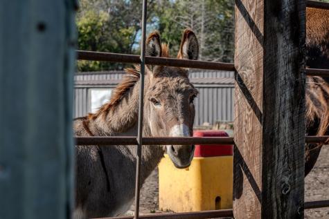 5445 157th Street S Glyndon MN 56547