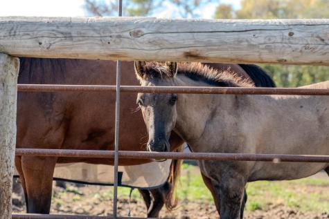 5445 157th Street S Glyndon MN 56547