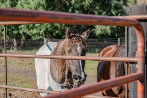 5445 157th Street S Glyndon MN 56547