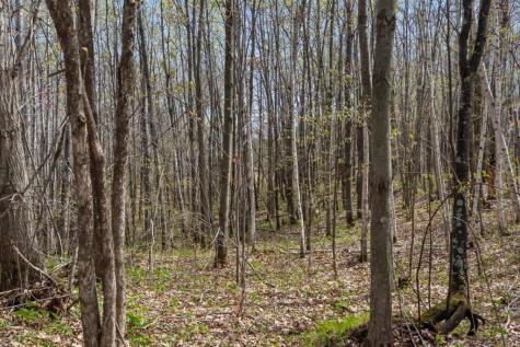 9382 County Road 8 Brainerd MN 56401