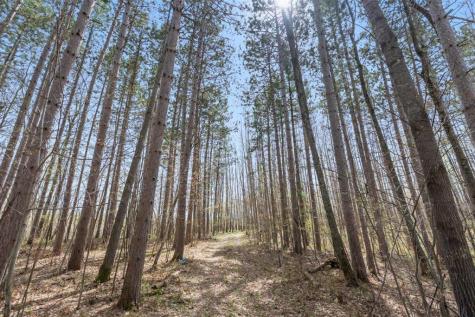 9382 County Road 8 Brainerd MN 56401