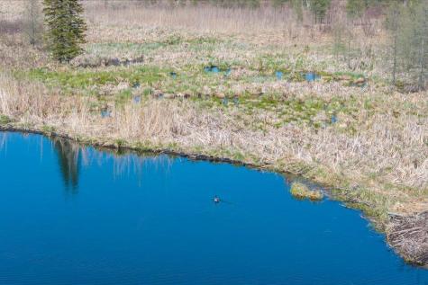 9382 County Road 8 Brainerd MN 56401