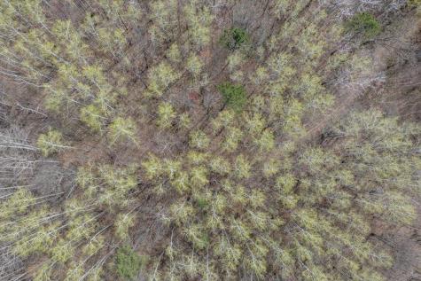 9382 County Road 8 Brainerd MN 56401
