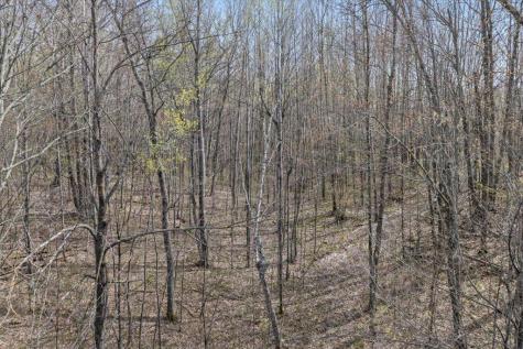 9382 County Road 8 Brainerd MN 56401
