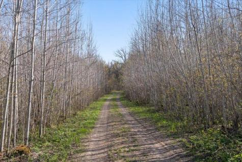 9382 County Road 8 Brainerd MN 56401