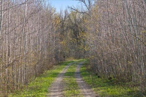 9382 County Road 8 Brainerd MN 56401