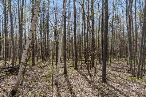 9382 County Road 8 Brainerd MN 56401