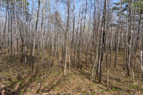 9382 County Road 8 Brainerd MN 56401