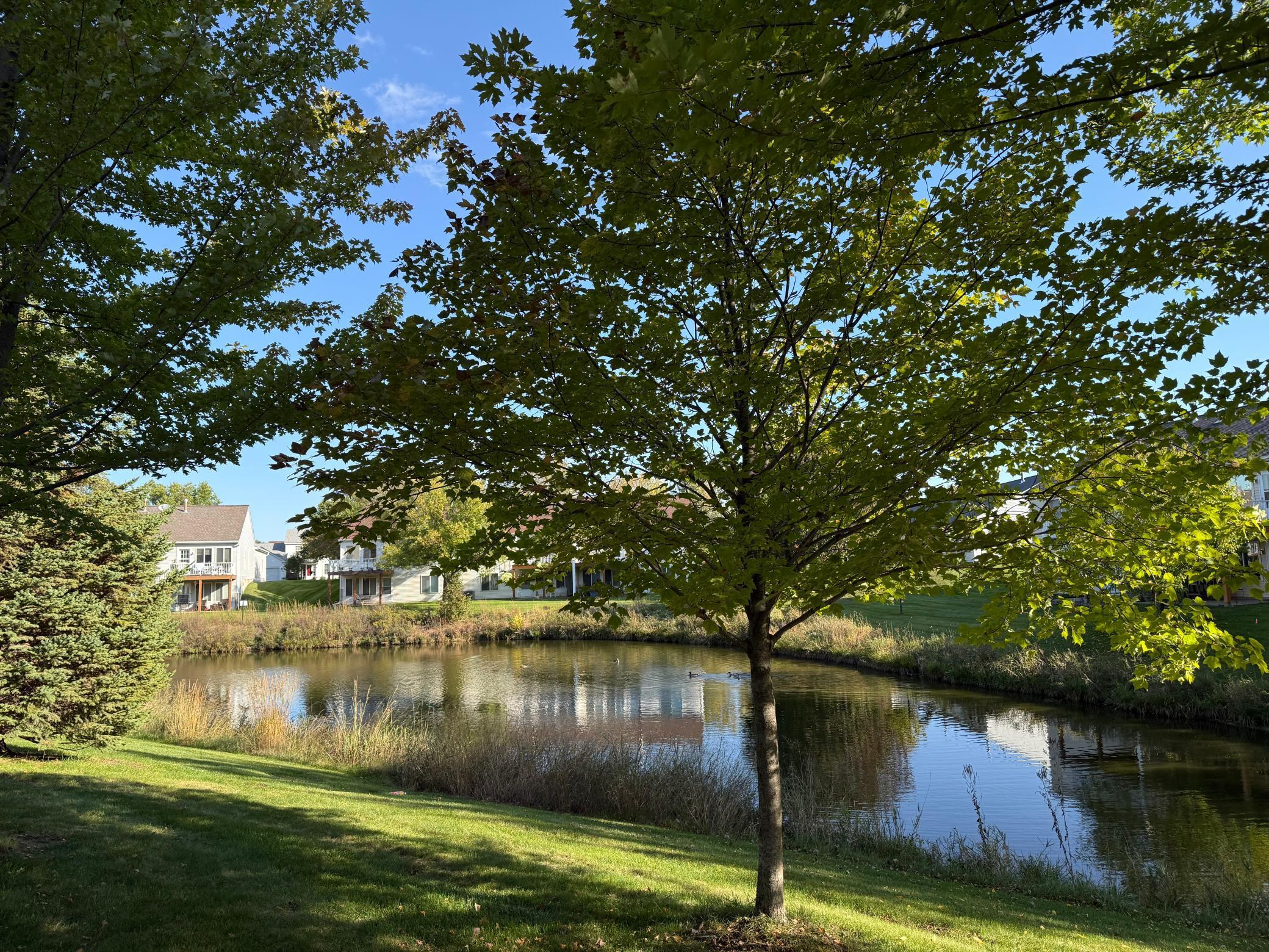 15649 Flackwood Way Apple Valley MN 55124