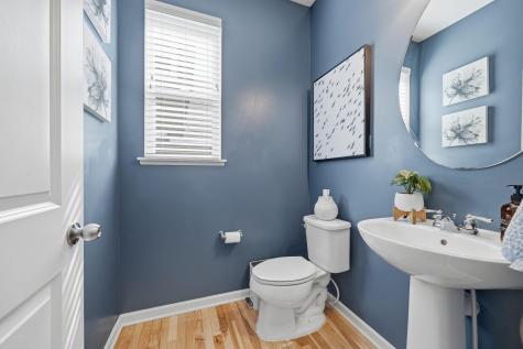 1088 Rosemary Court Chaska MN 55318