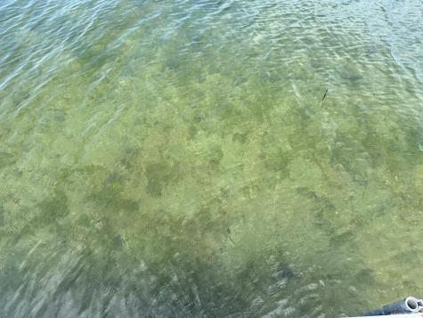 7443 Walleye Lane SW Alexandria MN 56308