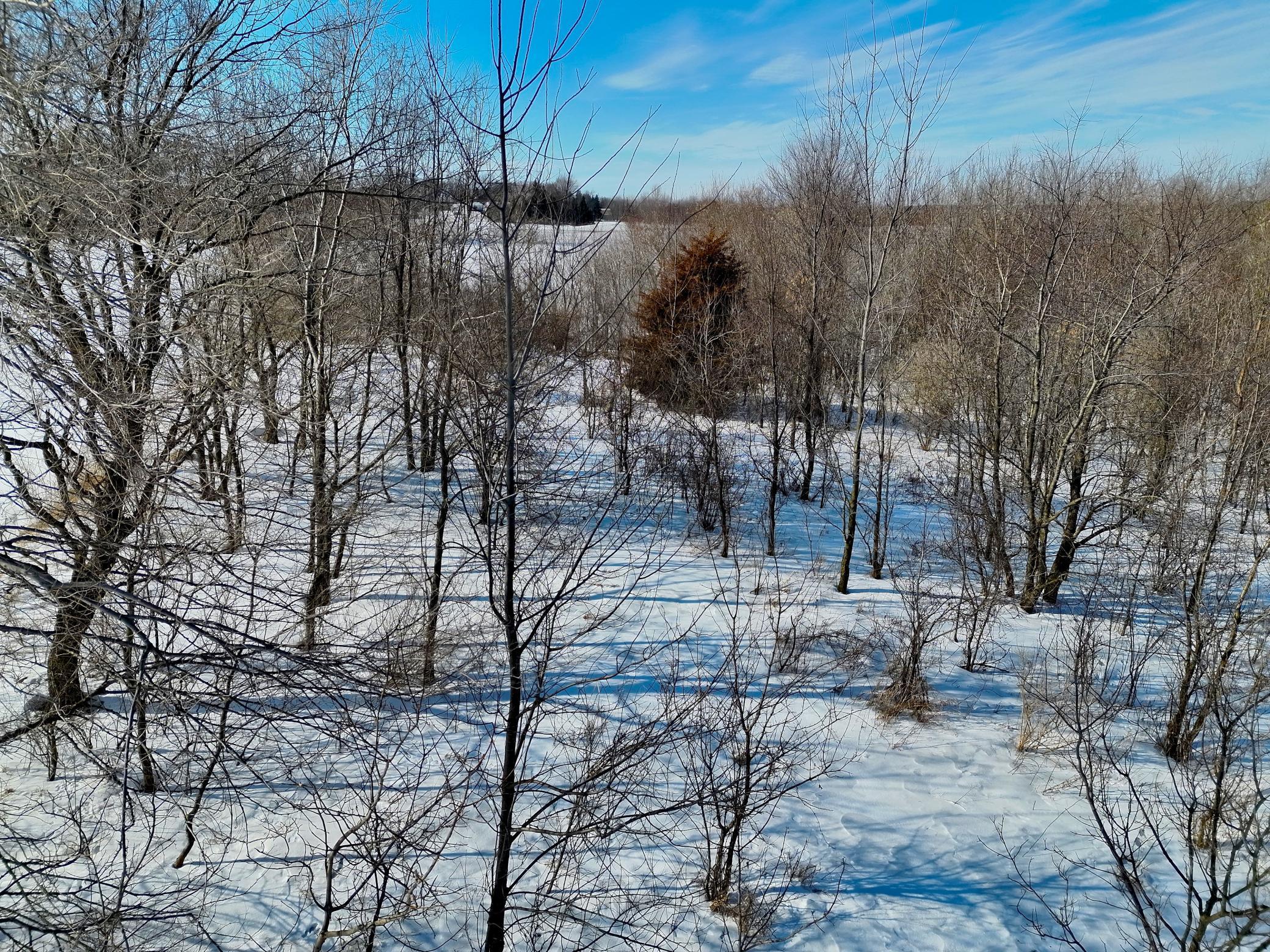 87387 245th Street Albert Lea MN 56007