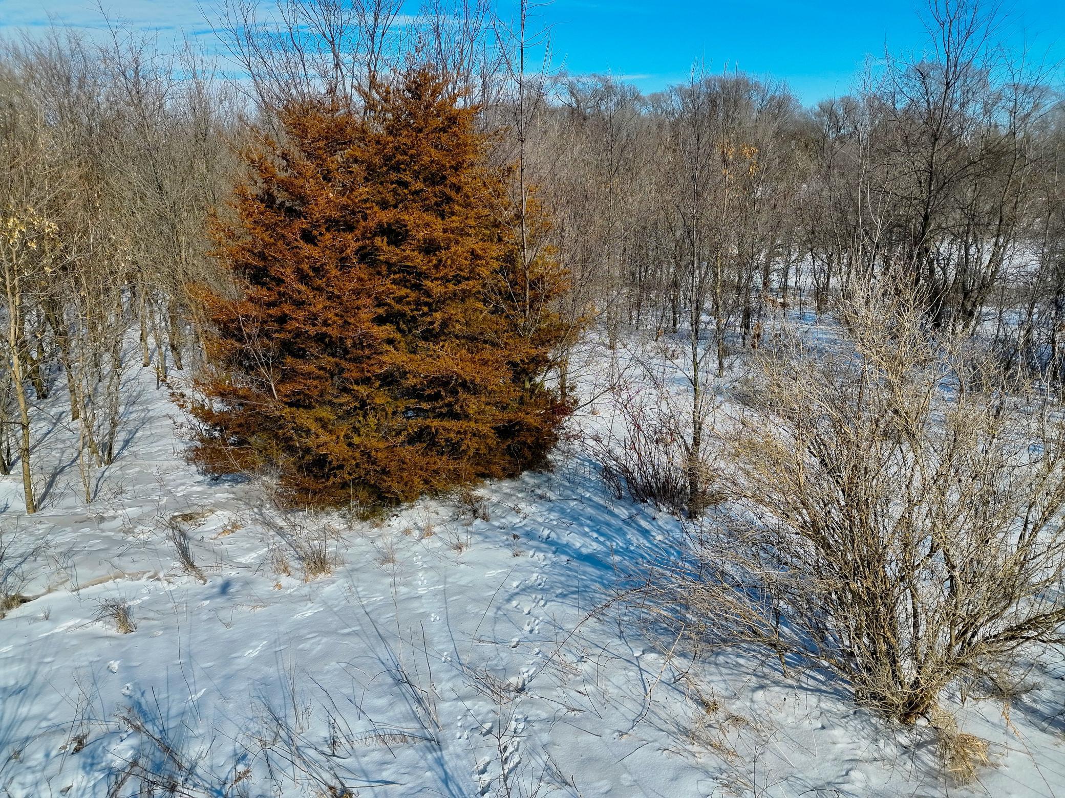 87387 245th Street Albert Lea MN 56007