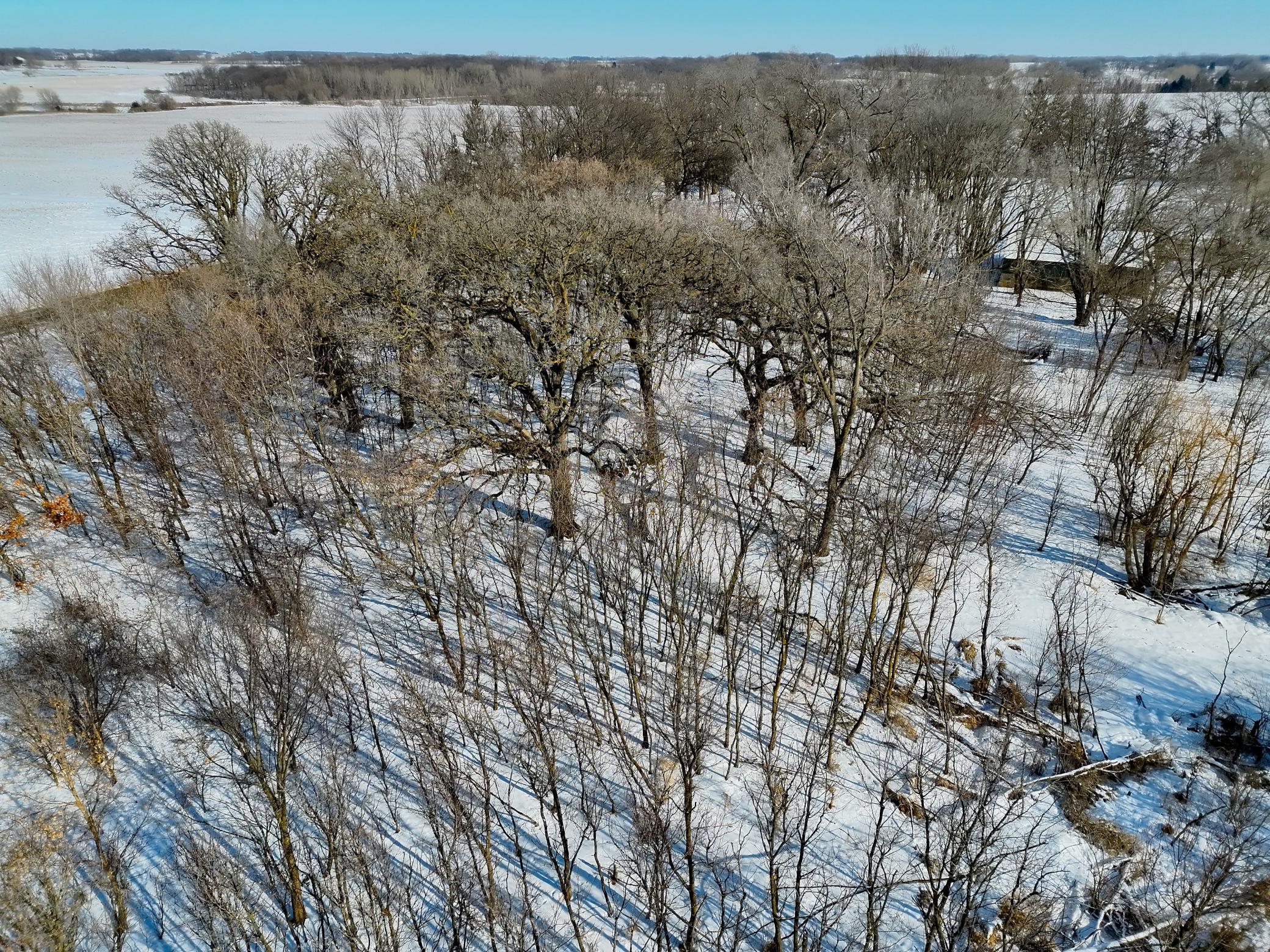 87387 245th Street Albert Lea MN 56007