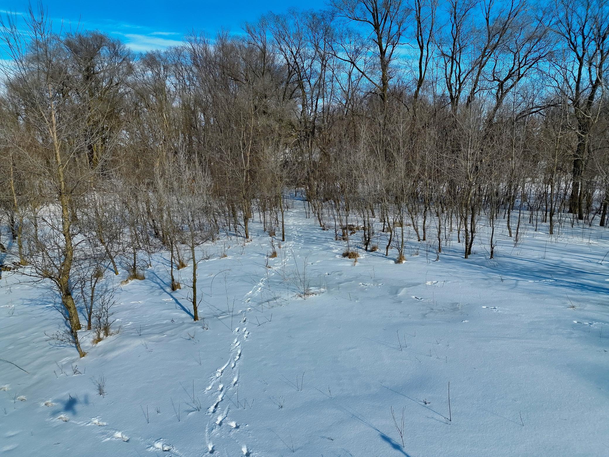 87387 245th Street Albert Lea MN 56007