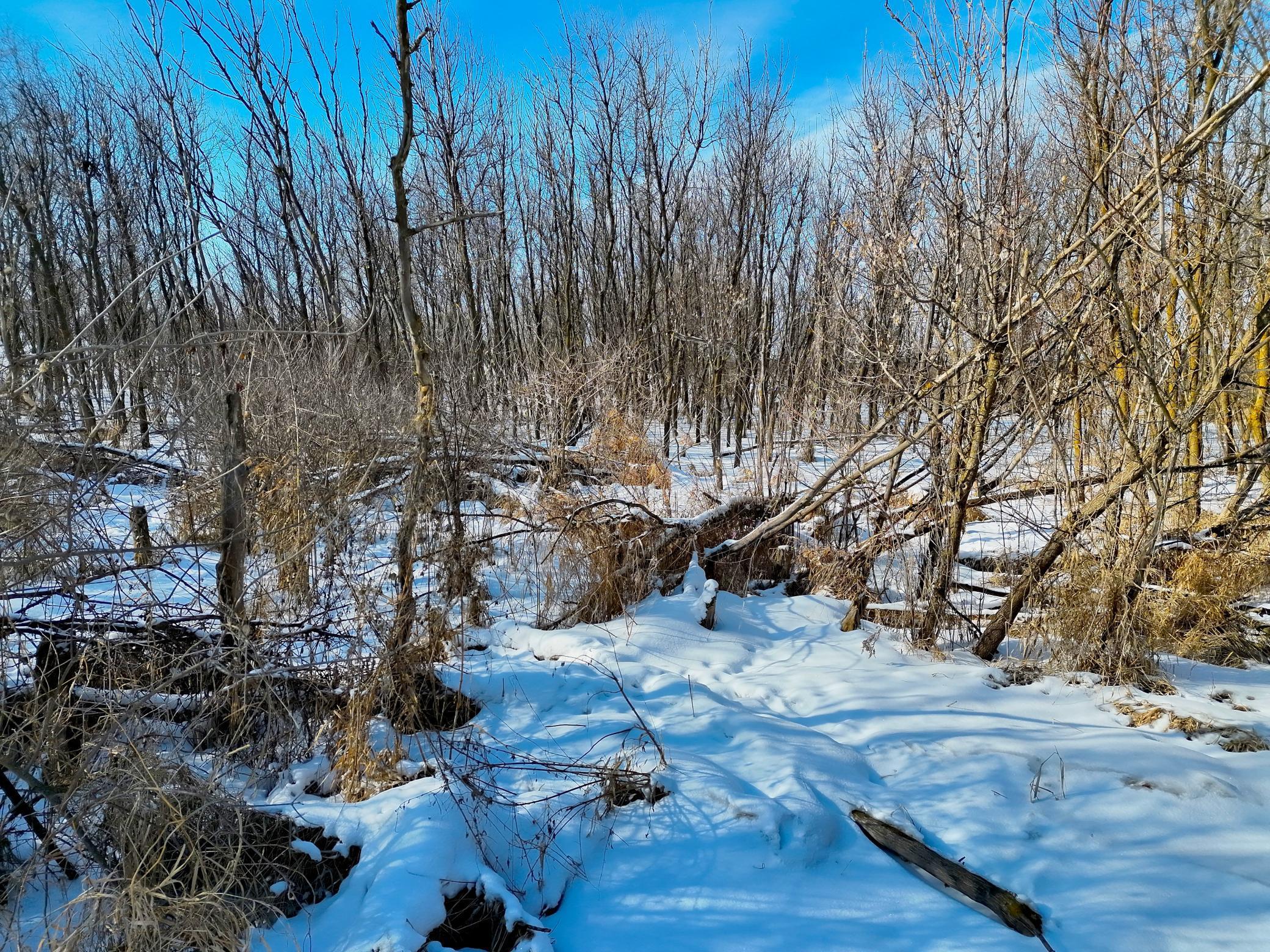 87387 245th Street Albert Lea MN 56007