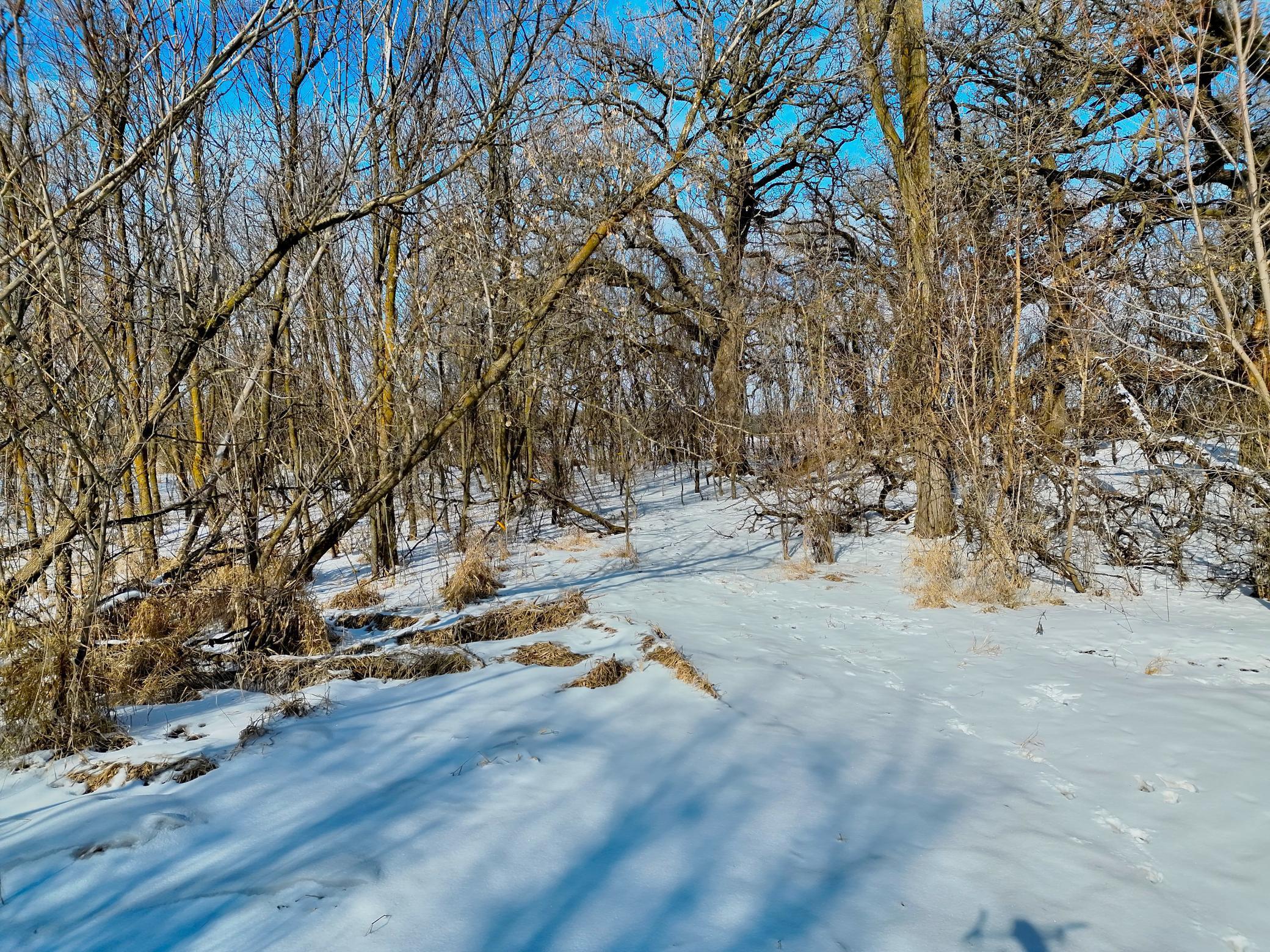 87387 245th Street Albert Lea MN 56007