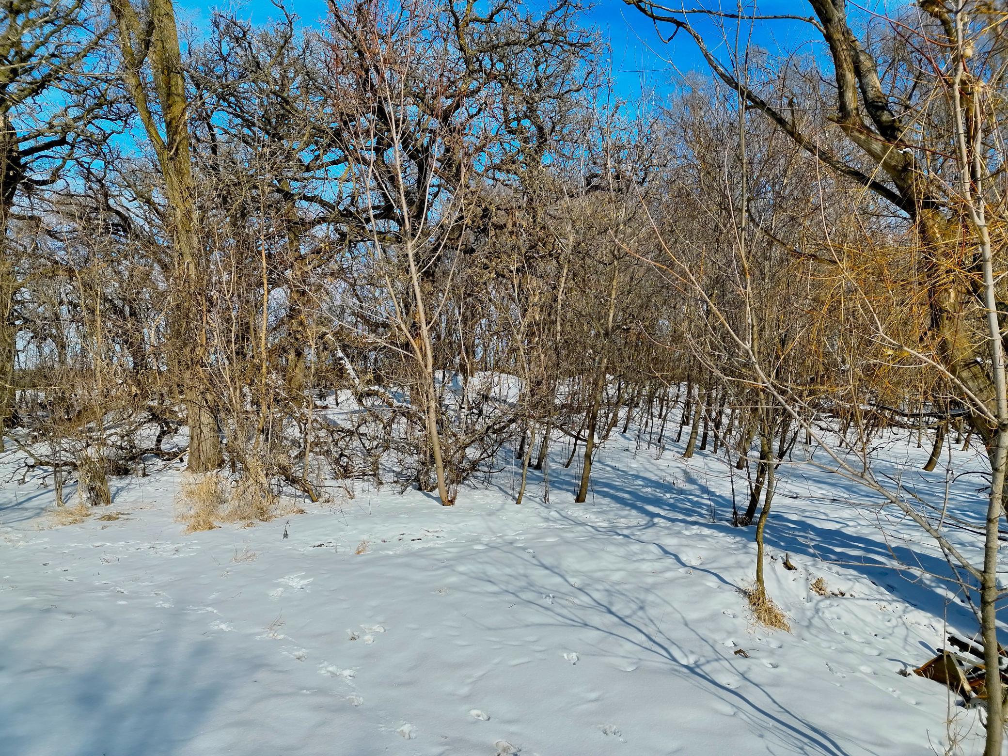 87387 245th Street Albert Lea MN 56007