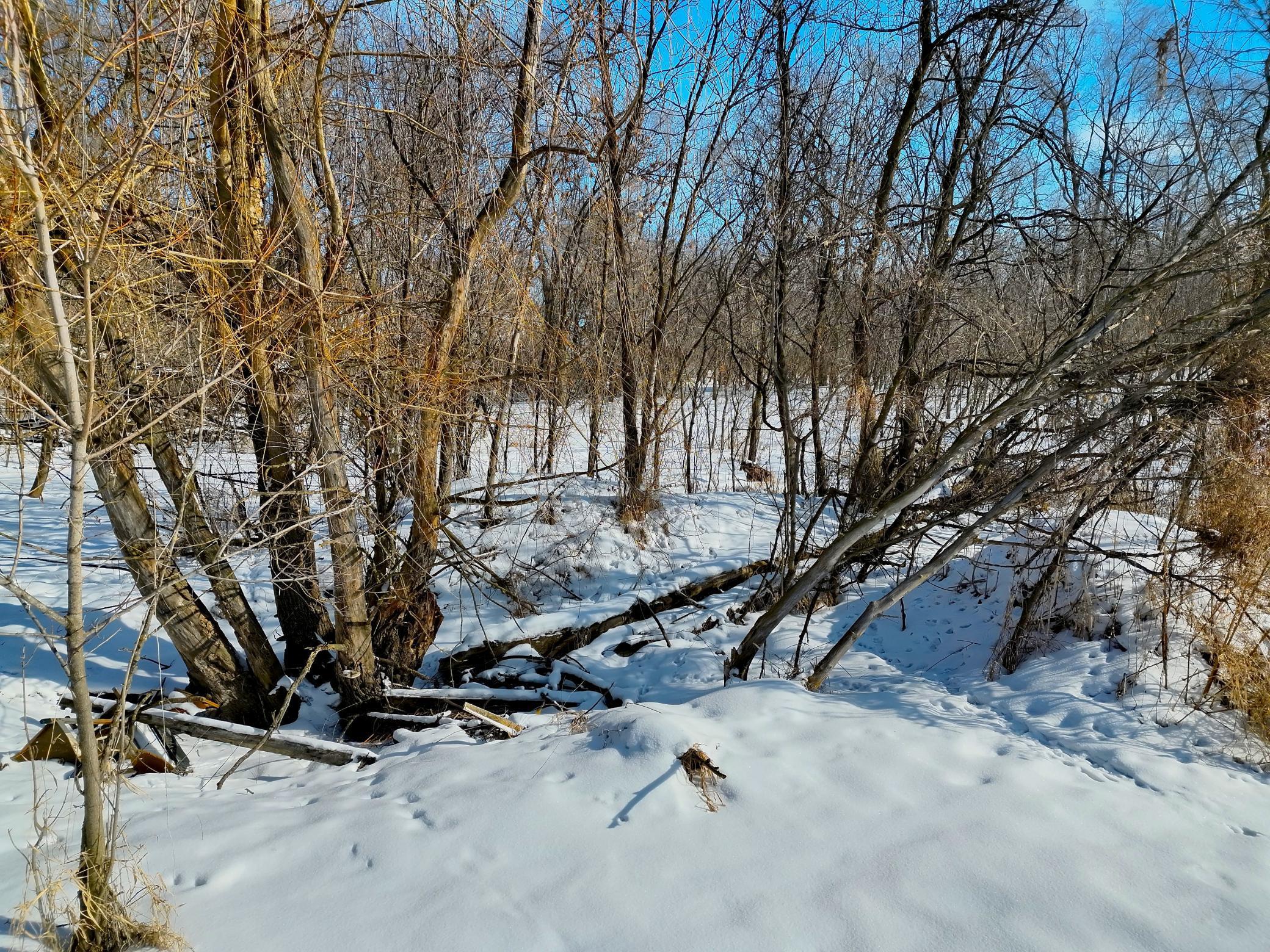 87387 245th Street Albert Lea MN 56007