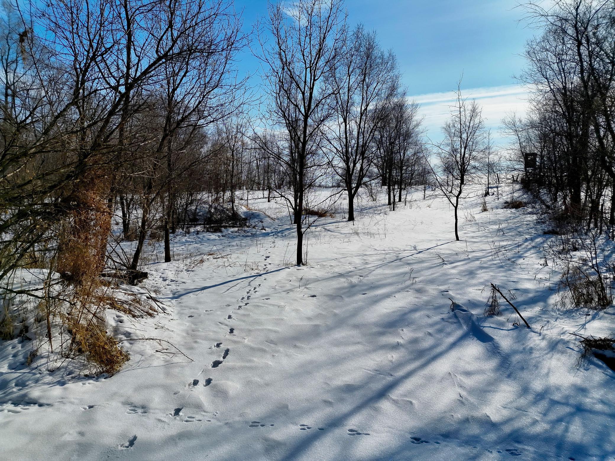 87387 245th Street Albert Lea MN 56007