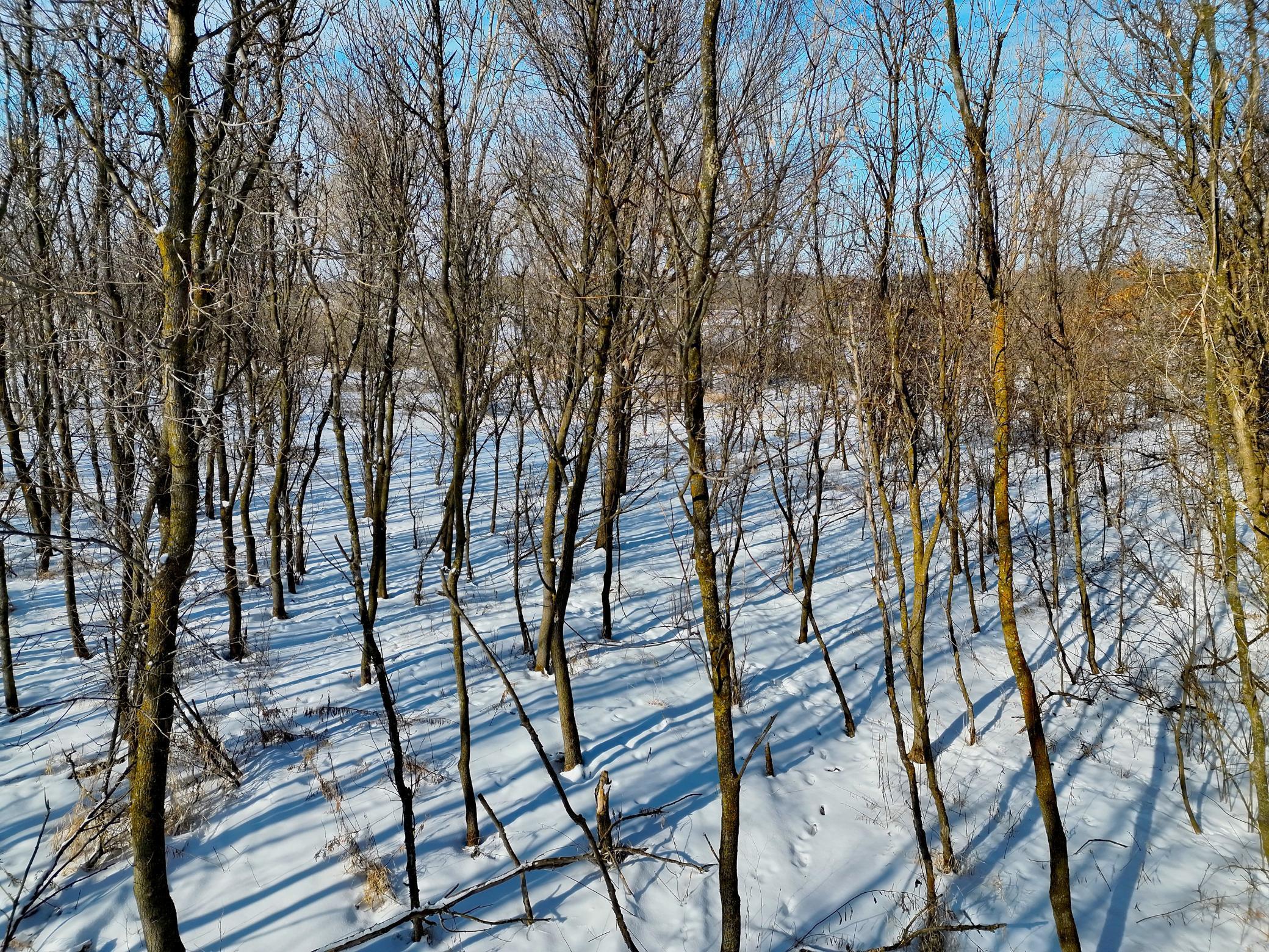 87387 245th Street Albert Lea MN 56007