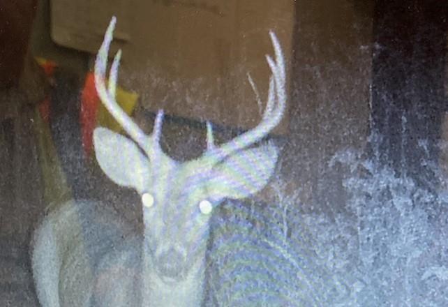 87387 245th Street Albert Lea MN 56007