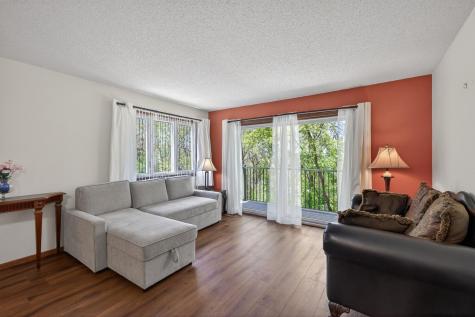 357 Belvidere Street E Saint Paul MN 55107