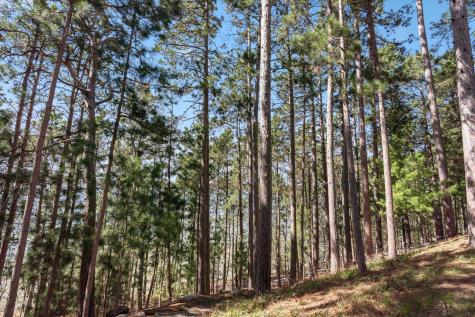 11316 Manhattan Point Boulevard Crosslake MN 56442