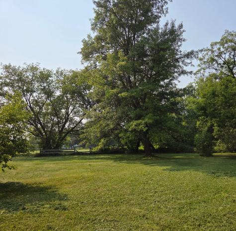 10587 Town Road 34 Mizpah MN 56660