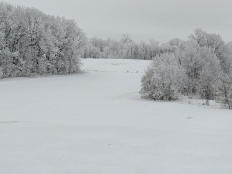 27196 Co Highway 21 Detroit Lakes MN 56501