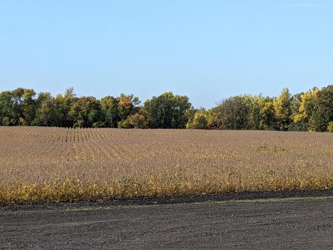 27196 Co Highway 21 Detroit Lakes MN 56501
