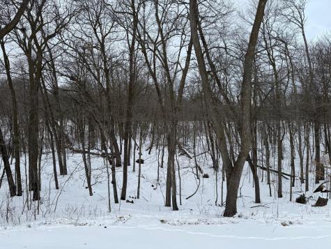 16236 305th Avenue Detroit Lakes MN 56501