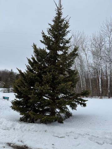 16236 305th Avenue Detroit Lakes MN 56501