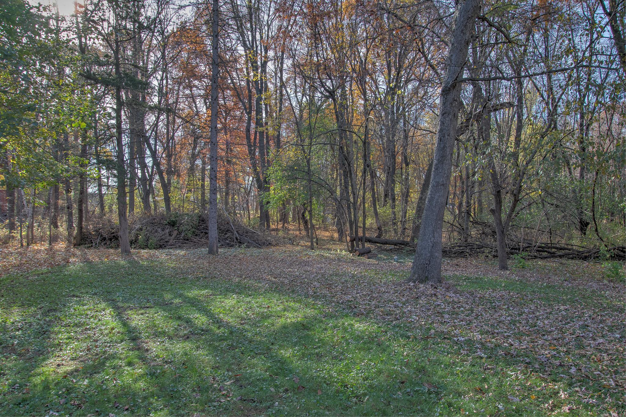 1304 153rd Lane NE Andover MN 55304