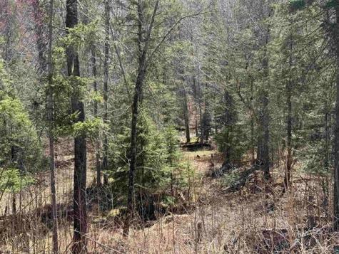 77410 Kaukamo Road Iron River WI 54847