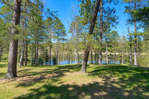 18280 County 11 Park Rapids MN 56470