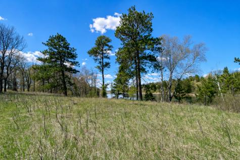 18280 County 11 Park Rapids MN 56470