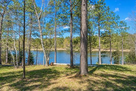 18280 County 11 Park Rapids MN 56470