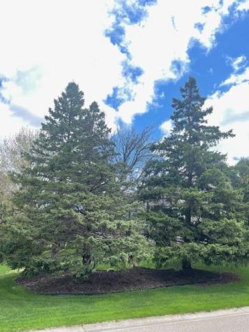16139 Inverness Way Lakeville MN 55044