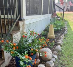 2945 County Road 4 SW Cokato MN 55321