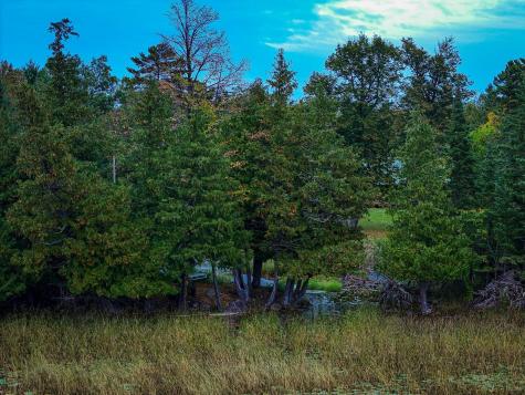38700 Osprey Trail Laporte MN 56461