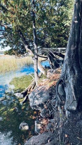 38700 Osprey Trail Laporte MN 56461