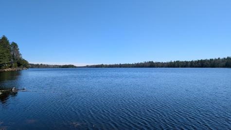8442 Highway 24 Cook MN 55723