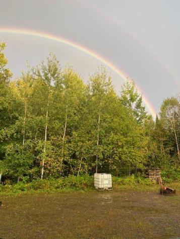 8225 N Blaisdell Lake Road Winter WI 54896