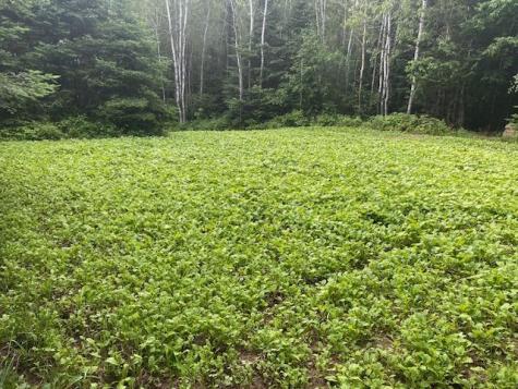 8225 N Blaisdell Lake Road Winter WI 54896